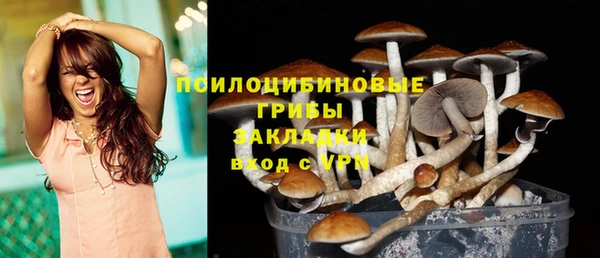ALPHA PVP Арсеньев