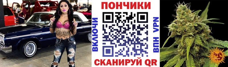 Шишки марихуана марихуана  Купить закладки  Ладушкин 
